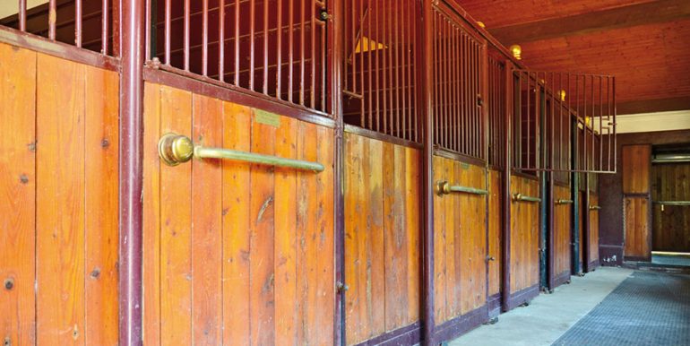 LUX_Stable-for-horses2971