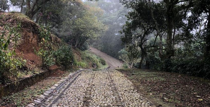 Residential Lots Bosque de Niebla.