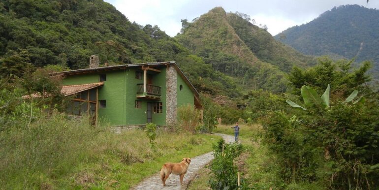 el-refugio-de-intag-lodge