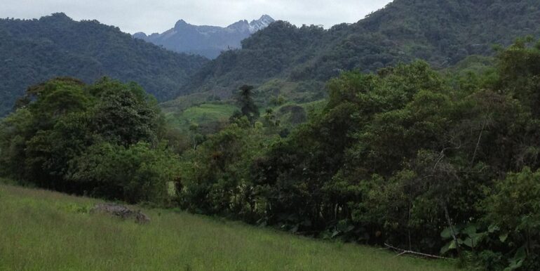 intag-cloud-forest-reserve