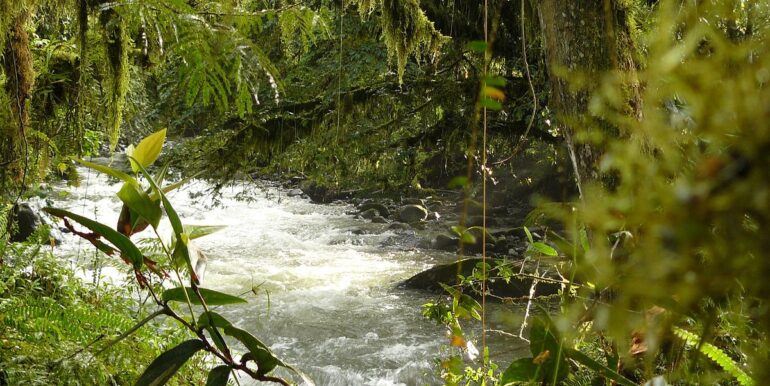 river-toabunche