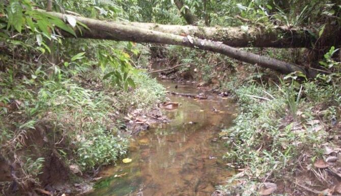 Stream2
