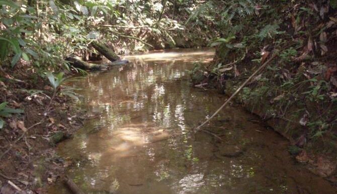 Stream3