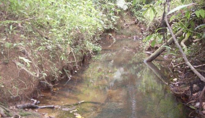 Stream4