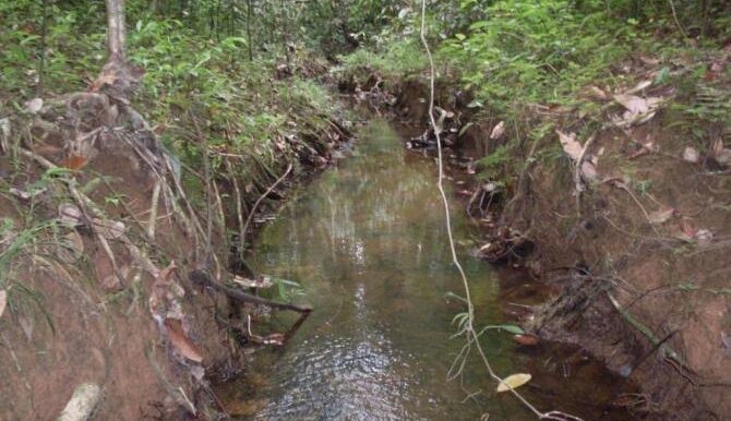 Stream5