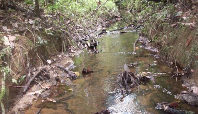Stream6
