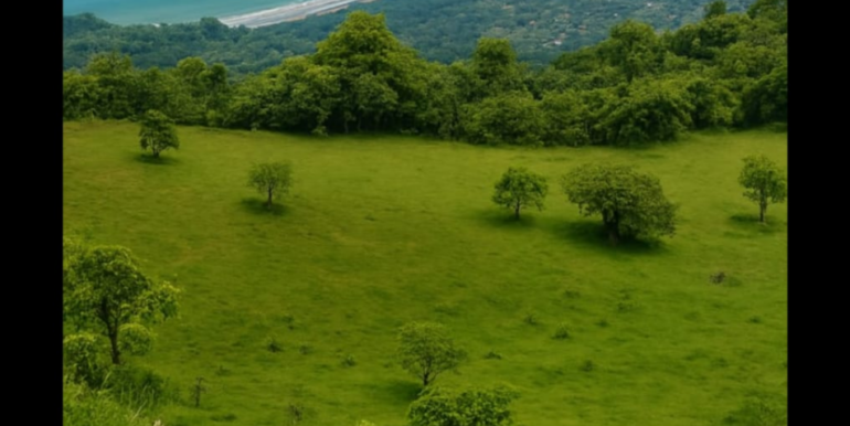 Screenshot_20250425-080120.WhatsApp