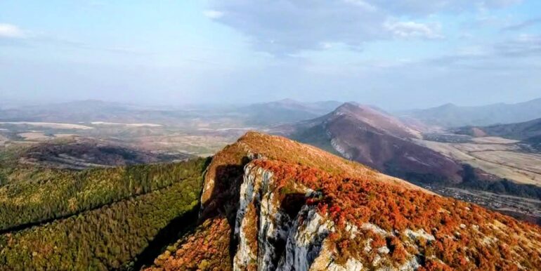 538596889_10235210413259293_1909199806418637803_n