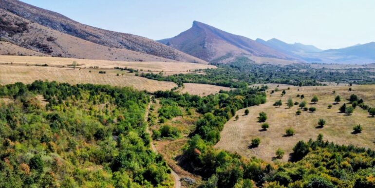 538709525_10235210429819707_503347358692696546_n