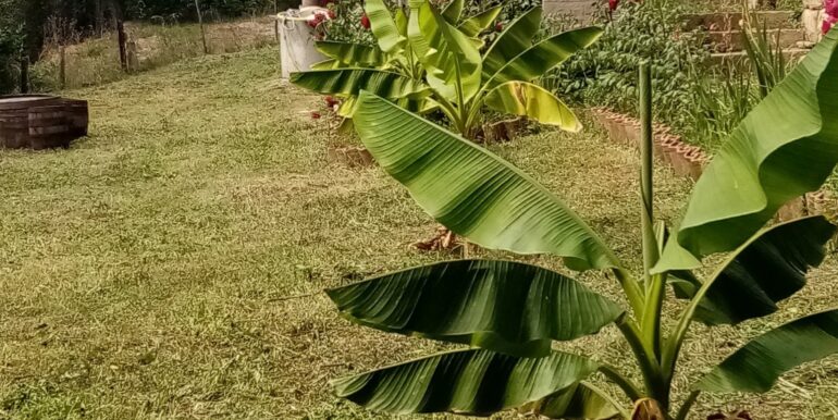 538958579_10235210429299694_177600449503420056_n