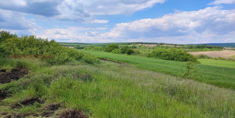 1r175558891284718_ZY