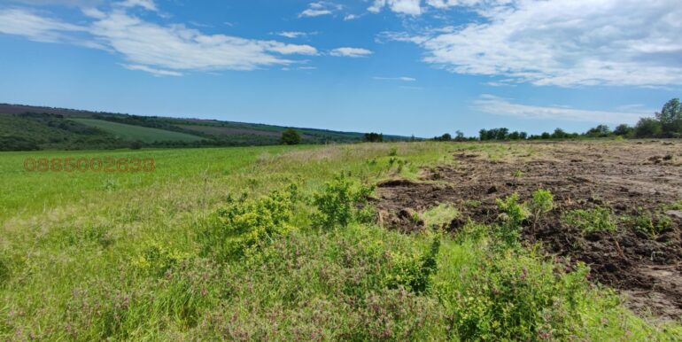 1r175558891284718_sR