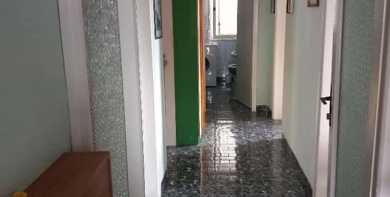 WhatsApp Image 2025-09-27 at 14.24.57