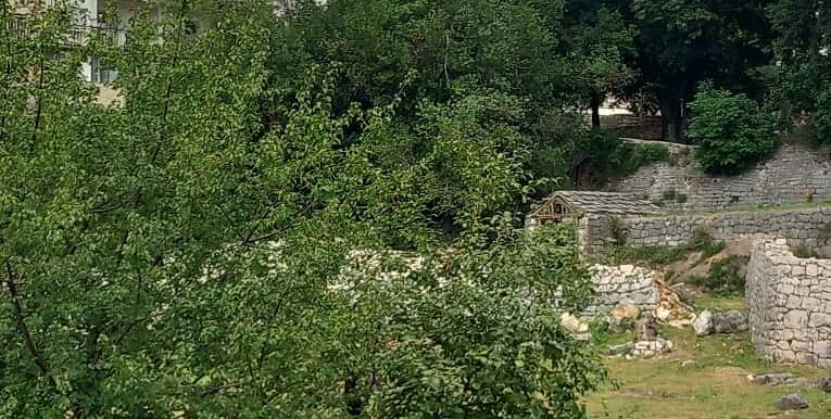WhatsApp Image 2025-09-27 at 14.25.08 (3)