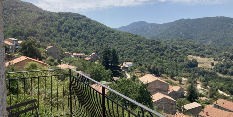 photo_2024-07-30_14-16-31