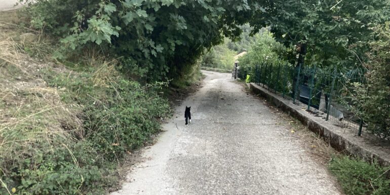 photo_2024-09-07_21-52-10