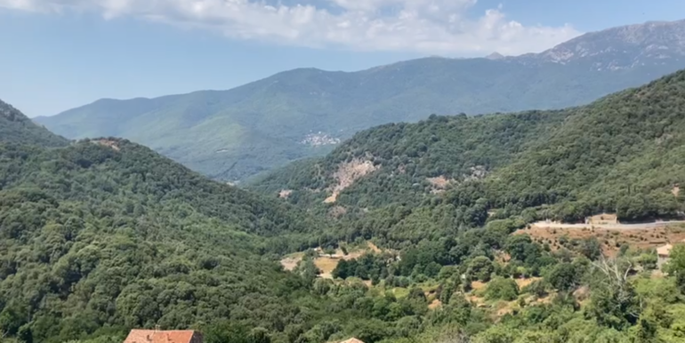 vue depuis le balcon de la chambre