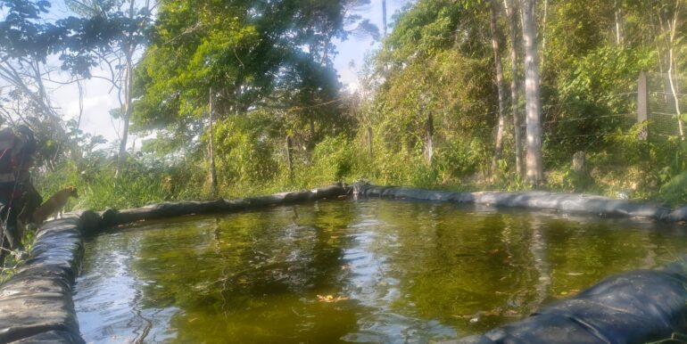 Agua pozo aloma