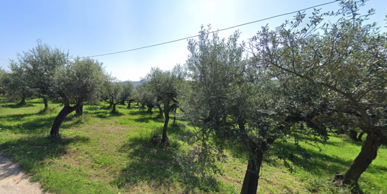 Screenshot 2026-03-09 alle 13.32.58