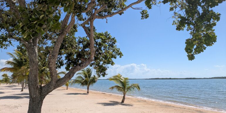 Coconut Beach