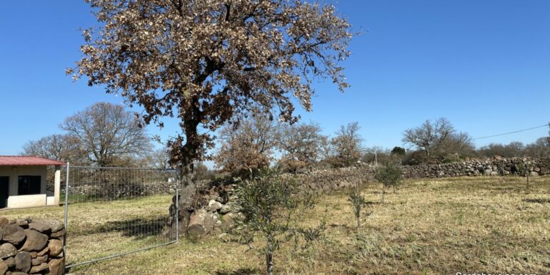 41-Podere Aiga-040