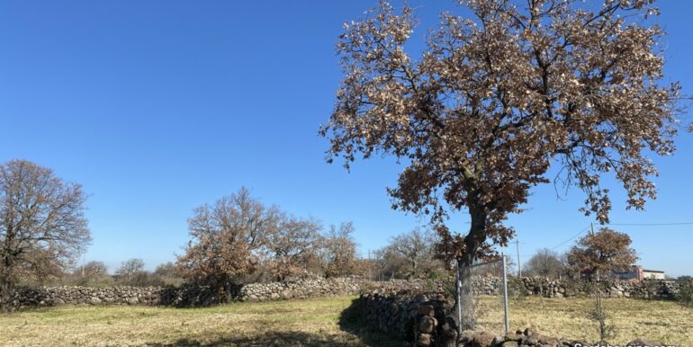 42-Podere Aiga-041